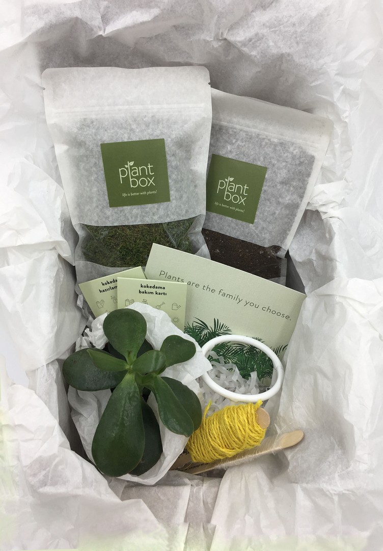 kokedama-hazirlama-kiti-02
